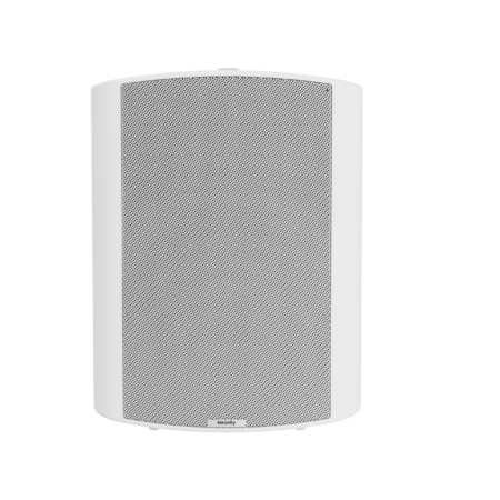 NEARITY ASP110 Loudspeaker